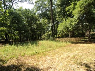 Property photo 5 - 2.27 Acre Wooded Lot - Real Estate Auction