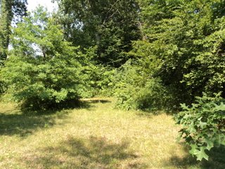 Property photo 8 - 2.27 Acre Wooded Lot - Real Estate Auction