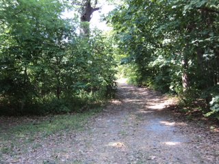 Property photo 6 - 2.27 Acre Wooded Lot - Real Estate Auction