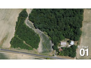 Property photo 16 - 51 +/- Acres Offered in 3 Tracts - Land Auction