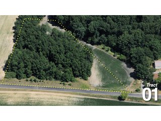 Property photo 9 - 51 +/- Acres Offered in 3 Tracts - Land Auction