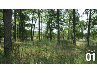 Property photo 13 - 51 +/- Acres Offered in 3 Tracts - Land Auction