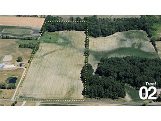 Property photo 6 - 51 +/- Acres Offered in 3 Tracts - Land Auction