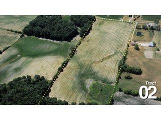 Property photo 14 - 51 +/- Acres Offered in 3 Tracts - Land Auction