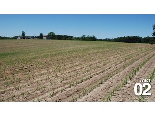 Property photo 18 - 51 +/- Acres Offered in 3 Tracts - Land Auction