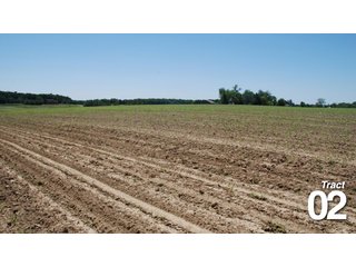 Property photo 15 - 51 +/- Acres Offered in 3 Tracts - Land Auction