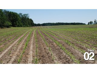 Property photo 3 - 51 +/- Acres Offered in 3 Tracts - Land Auction