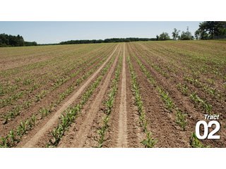 Property photo 17 - 51 +/- Acres Offered in 3 Tracts - Land Auction