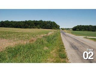 Property photo 8 - 51 +/- Acres Offered in 3 Tracts - Land Auction