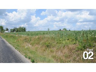 Property photo 2 - 51 +/- Acres Offered in 3 Tracts - Land Auction
