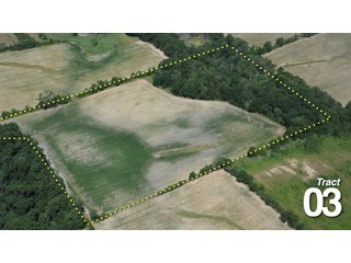 Property photo 19 - 51 +/- Acres Offered in 3 Tracts - Land Auction