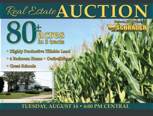 Sold: 80 Acres Offered in 3 Tracts - Real Estate Auction - Hebron, IN