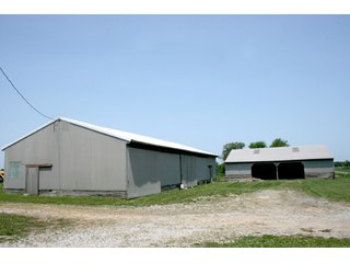 Property photo 8 - 80 Acres Offered in 3 Tracts - Real Estate Auction
