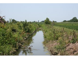 Property photo 2 - 80 Acres Offered in 3 Tracts - Real Estate Auction