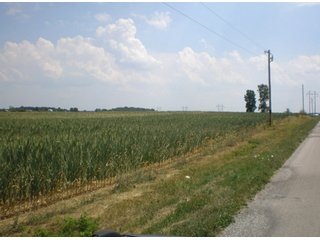 Property photo 7 - 101.5+/- Acres in 4 Tracts Land Auction