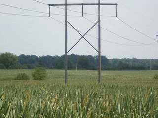 Property photo 5 - 101.5+/- Acres in 4 Tracts Land Auction