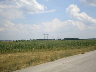 Property photo 4 - 101.5+/- Acres in 4 Tracts Land Auction