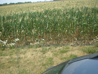 Property photo 1 - 101.5+/- Acres in 4 Tracts Land Auction