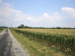 Property photo 8 - 101.5+/- Acres in 4 Tracts Land Auction