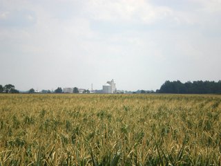 Tract 2 - 101.5+/- Acres in 4 Tracts Land Auction