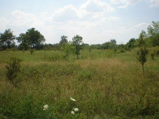 Property photo 3 - 101.5+/- Acres in 4 Tracts Land Auction