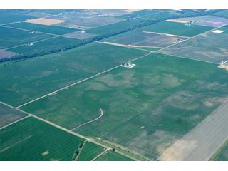 Property photo 6 - 320 Acres Offered in 5 Tracts - Land Auction