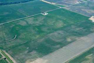 Hermie Estate, Whiteside County