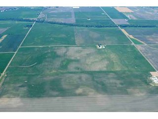 Property photo 9 - 320 Acres Offered in 5 Tracts - Land Auction