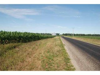 Property photo 13 - 320 Acres Offered in 5 Tracts - Land Auction