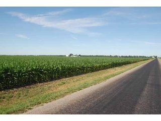 Property photo 18 - 320 Acres Offered in 5 Tracts - Land Auction