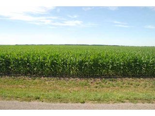 Property photo 43 - 320 Acres Offered in 5 Tracts - Land Auction