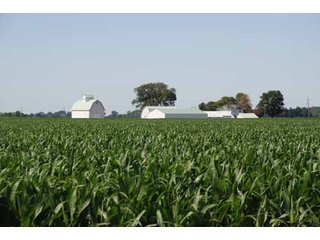 Property photo 8 - 320 Acres Offered in 5 Tracts - Land Auction