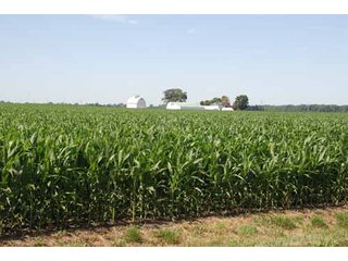 Property photo 23 - 320 Acres Offered in 5 Tracts - Land Auction