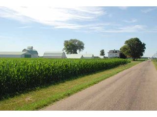 Property photo 38 - 320 Acres Offered in 5 Tracts - Land Auction