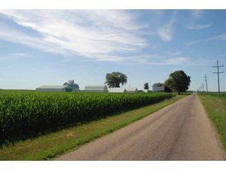 Property photo 52 - 320 Acres Offered in 5 Tracts - Land Auction