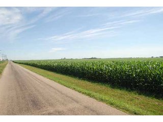 Property photo 49 - 320 Acres Offered in 5 Tracts - Land Auction