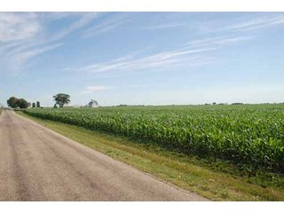 Property photo 35 - 320 Acres Offered in 5 Tracts - Land Auction