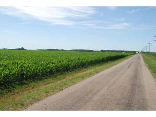 Property photo 5 - 320 Acres Offered in 5 Tracts - Land Auction