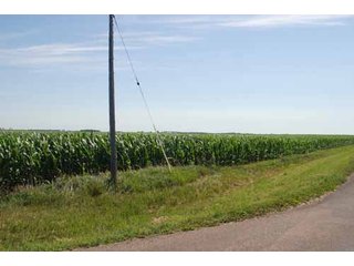 Property photo 17 - 320 Acres Offered in 5 Tracts - Land Auction
