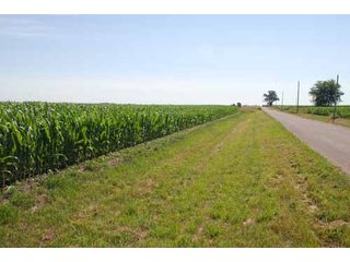 Property photo 42 - 320 Acres Offered in 5 Tracts - Land Auction