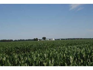 Property photo 41 - 320 Acres Offered in 5 Tracts - Land Auction