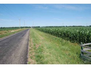 Property photo 46 - 320 Acres Offered in 5 Tracts - Land Auction