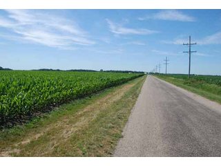 Property photo 25 - 320 Acres Offered in 5 Tracts - Land Auction