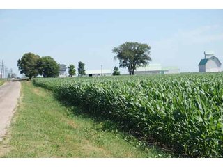 Property photo 20 - 320 Acres Offered in 5 Tracts - Land Auction