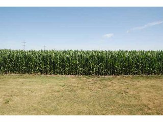 Property photo 26 - 320 Acres Offered in 5 Tracts - Land Auction