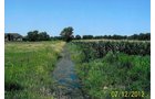 Property photo 2 - 219 +/- Acres Offered in 2 Tracts - Land Auction