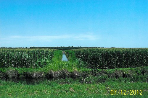 Property photo 3 - 219 +/- Acres Offered in 2 Tracts - Land Auction
