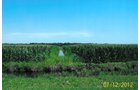 Property photo 3 - 219 +/- Acres Offered in 2 Tracts - Land Auction