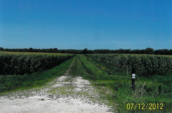 219 +/- Acres Offered in 2 Tracts - Land Auction