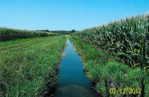 Property photo 8 - 219 +/- Acres Offered in 2 Tracts - Land Auction
